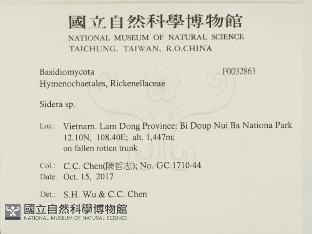 登錄號:F0032863藏品圖，第2張