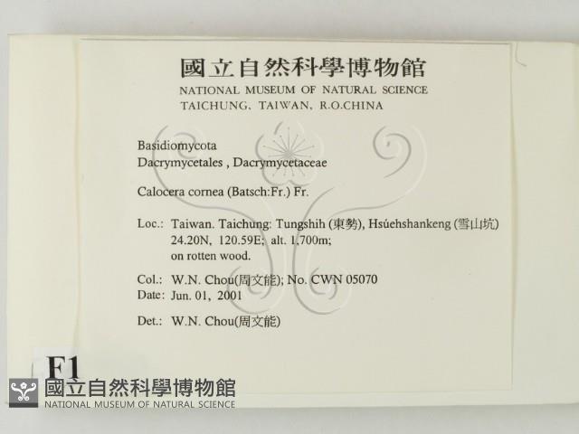 登錄號:F0015863藏品圖，第2張