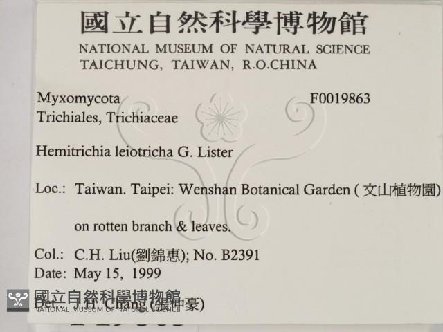 登錄號:F0019863藏品圖，第2張