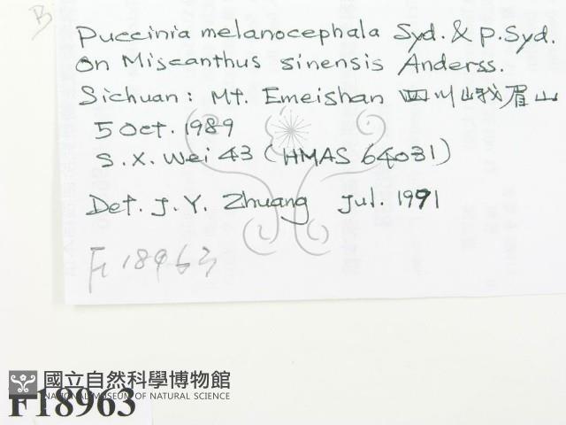 登錄號:F0018963藏品圖，第2張