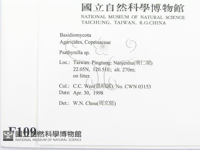 登錄號:F0010963藏品圖，第2張