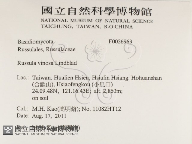 登錄號:F0026963藏品圖，第2張