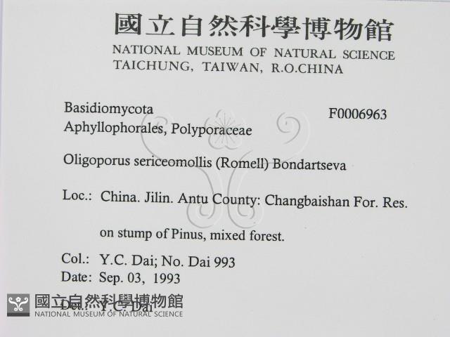 登錄號:F0006963藏品圖，第2張