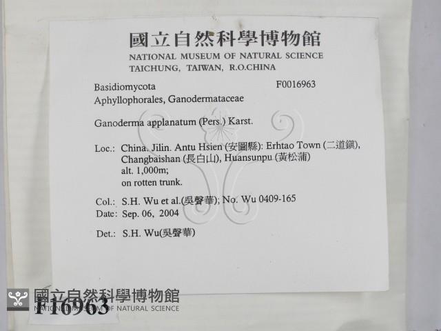登錄號:F0016963藏品圖，第2張