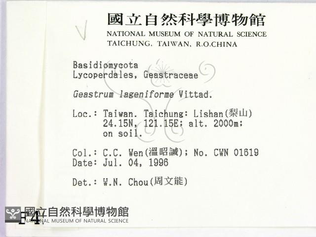 登錄號:F0004963藏品圖，第2張