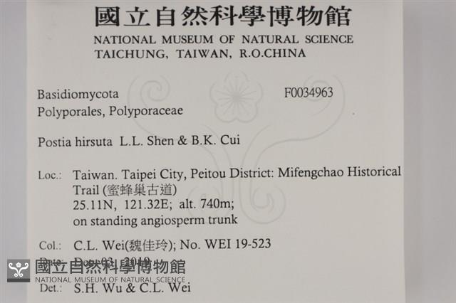 登錄號:F0034963藏品圖，第2張