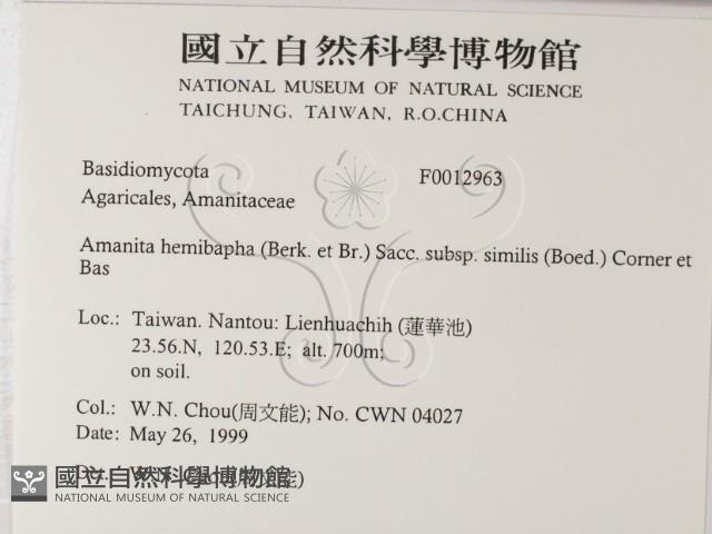 登錄號:F0012963藏品圖，第2張