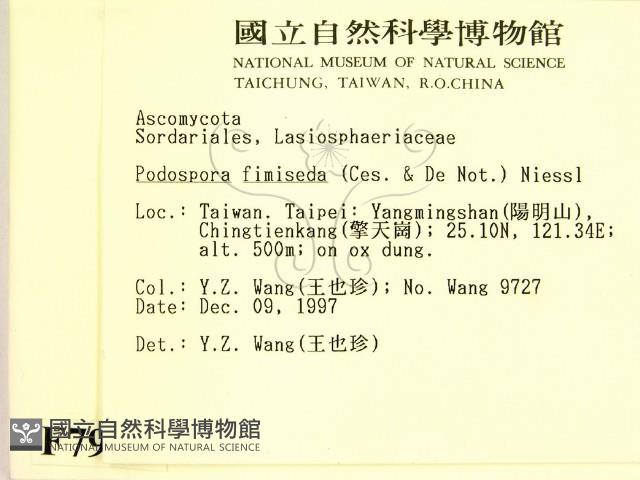 登錄號:F0007963藏品圖，第2張