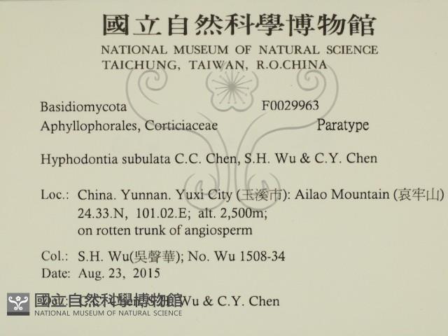 登錄號:F0029963藏品圖，第2張