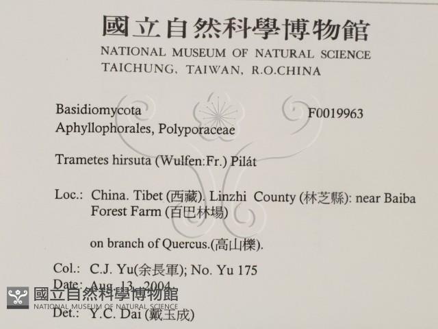 登錄號:F0019963藏品圖，第2張