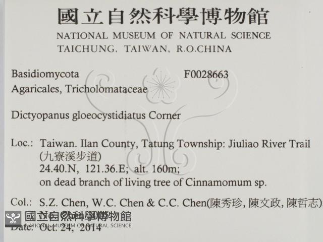 登錄號:F0028663藏品圖，第2張