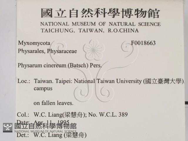 登錄號:F0018663藏品圖，第2張
