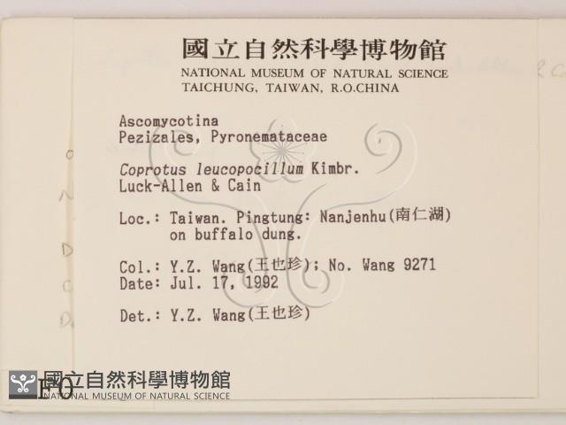 登錄號:F0000663藏品圖，第2張