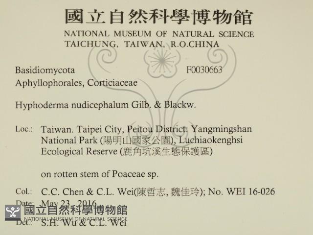 登錄號:F0030663藏品圖，第2張