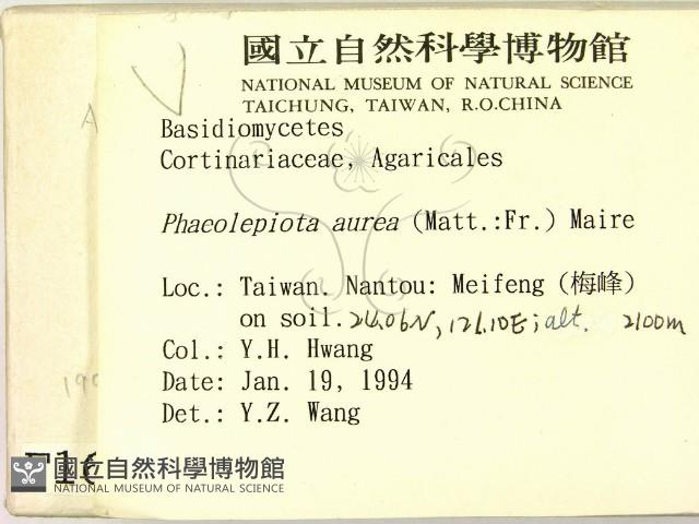 登錄號:F0001663藏品圖，第2張