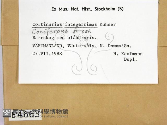 登錄號:F0004663藏品圖，第2張