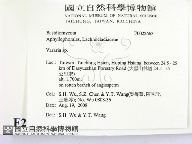 登錄號:F0022663藏品圖，第2張