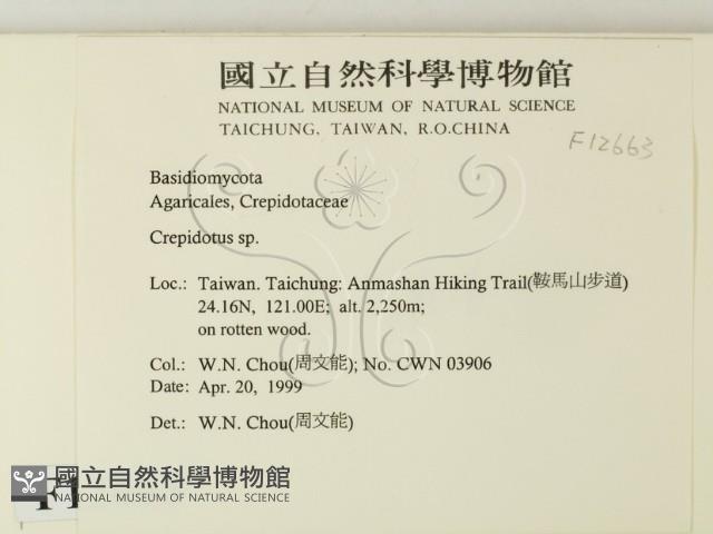 登錄號:F0012663藏品圖，第2張