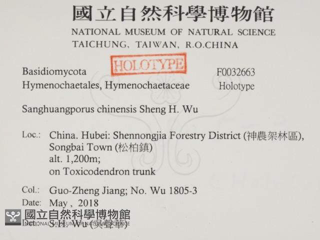 漆屬桑黃藏品圖，第2張
