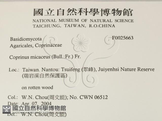 登錄號:F0025663藏品圖，第2張