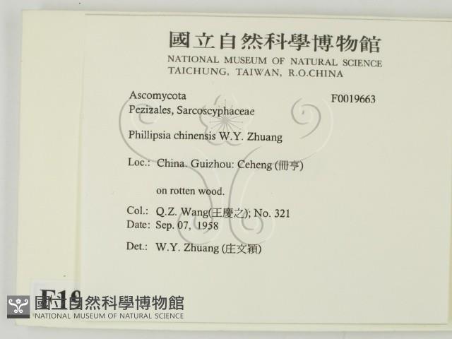 登錄號:F0019663藏品圖，第2張