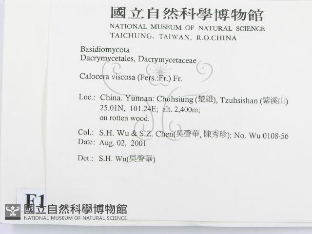 登錄號:F0013663藏品圖，第2張