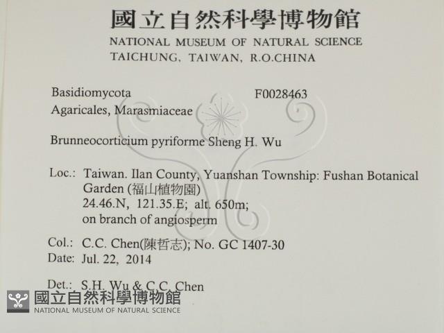 登錄號:F0028463藏品圖，第2張