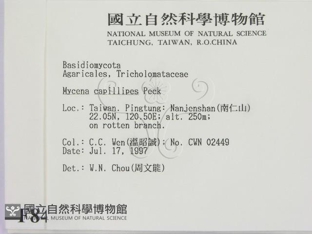 登錄號:F0008463藏品圖，第2張