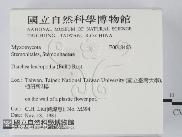 登錄號:F0018463藏品圖，第2張