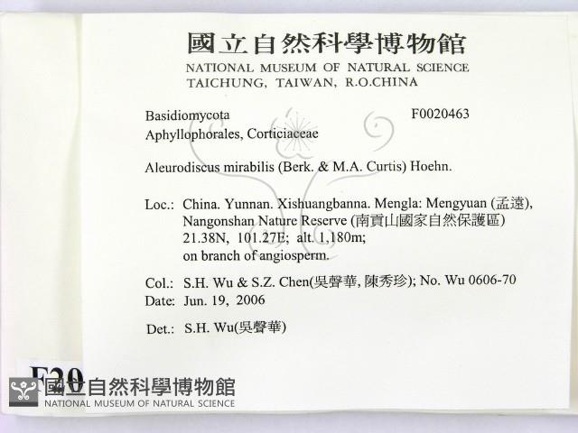 登錄號:F0020463藏品圖，第2張