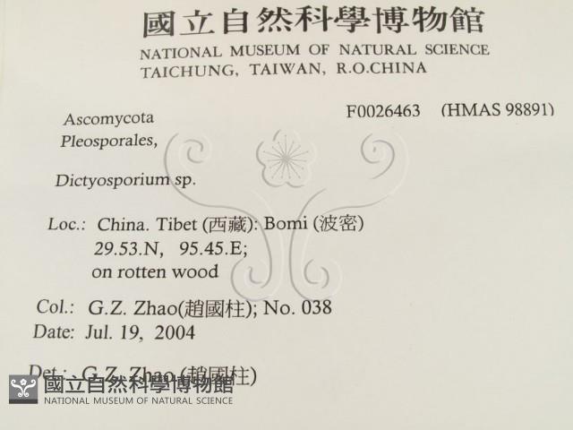 登錄號:F0026463藏品圖，第2張