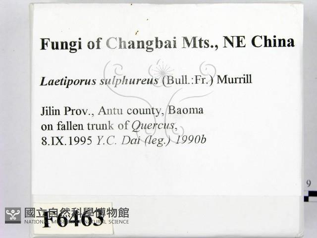 登錄號:F0006463藏品圖，第2張