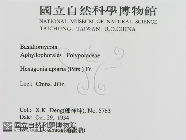 登錄號:F0016463藏品圖，第2張