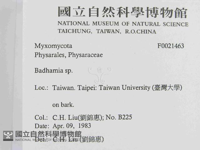 登錄號:F0021463藏品圖，第2張