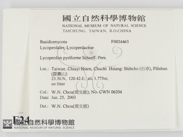 登錄號:F0024463藏品圖，第2張