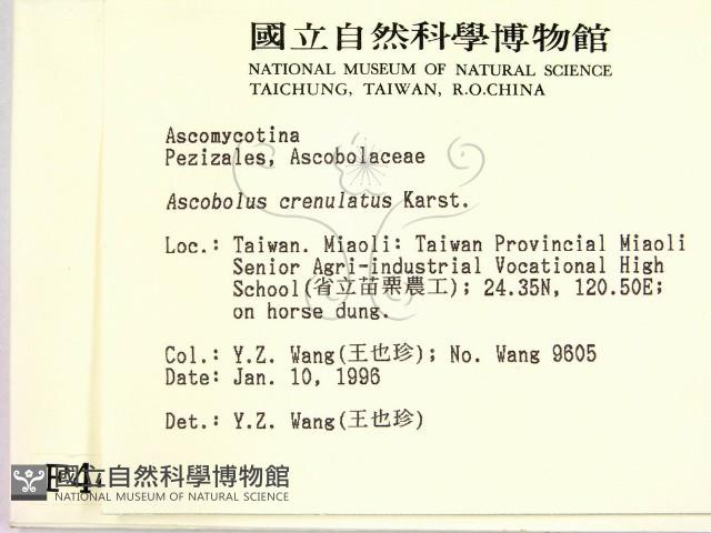 登錄號:F0004463藏品圖，第2張