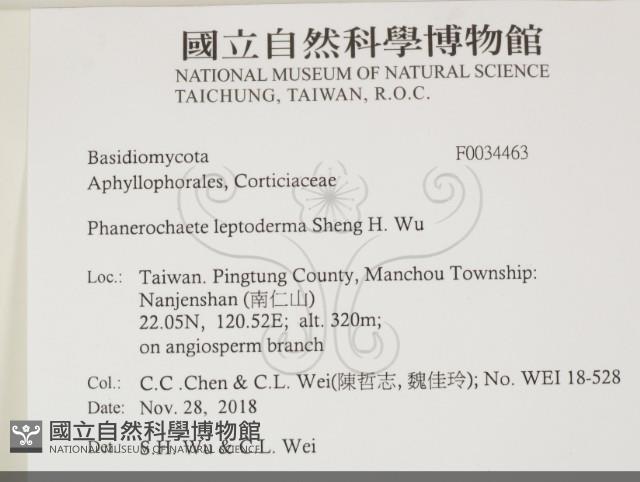 登錄號:F0034463藏品圖，第2張