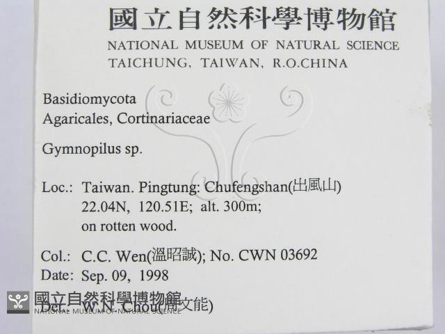 登錄號:F0012463藏品圖，第2張