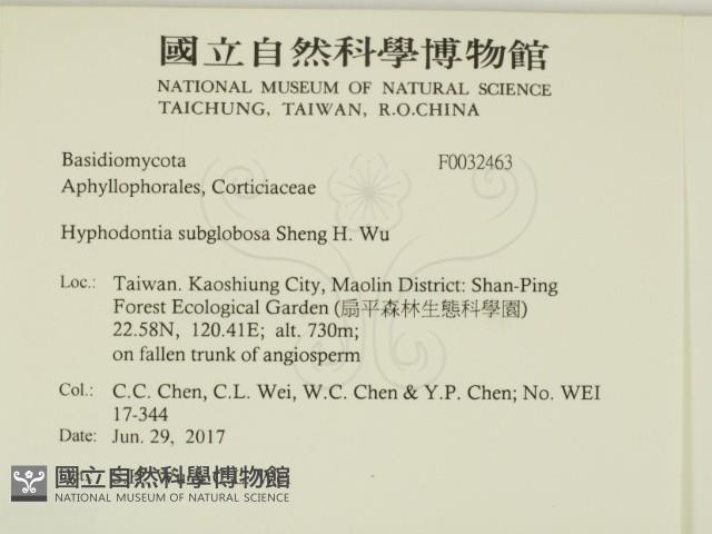 登錄號:F0032463藏品圖，第2張
