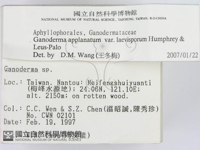 登錄號:F0007463藏品圖，第2張