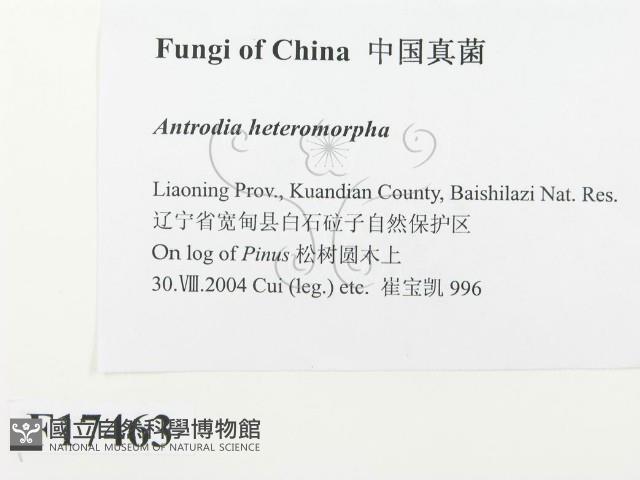 登錄號:F0017463藏品圖，第2張