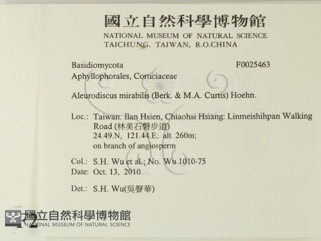 登錄號:F0025463藏品圖，第2張