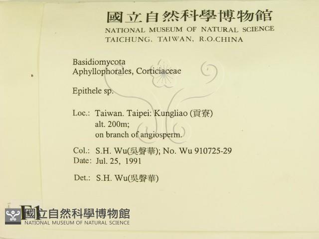 登錄號:F0015463藏品圖，第2張