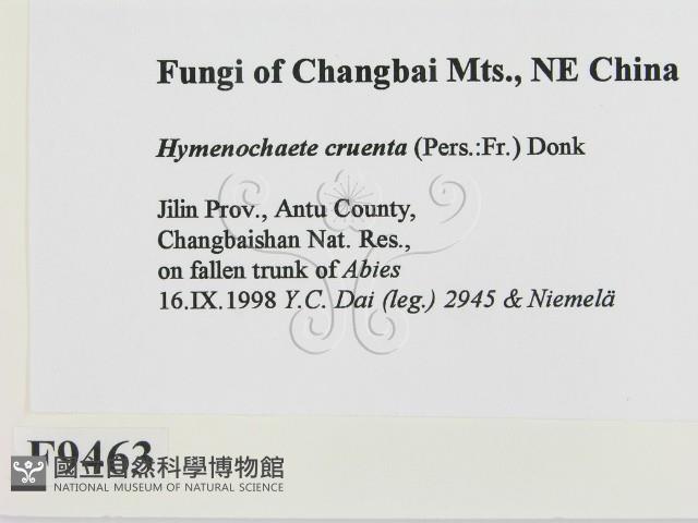 登錄號:F0009463藏品圖，第2張