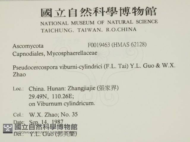 登錄號:F0019463藏品圖，第2張