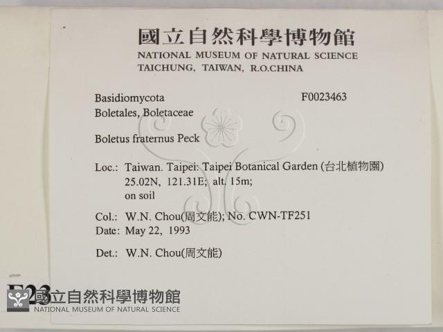 登錄號:F0023463藏品圖，第2張