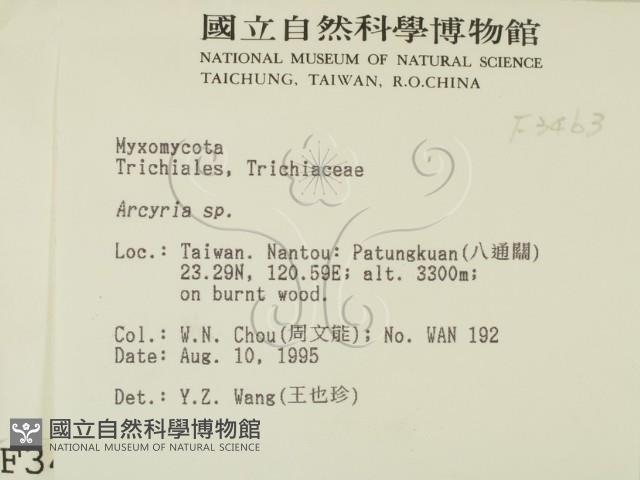 登錄號:F0003463藏品圖，第2張