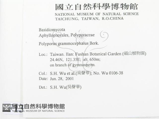 登錄號:F0013463藏品圖，第2張