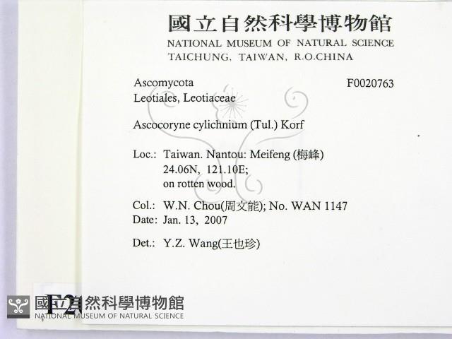 登錄號:F0020763藏品圖，第2張