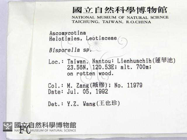 登錄號:F0000763藏品圖，第2張